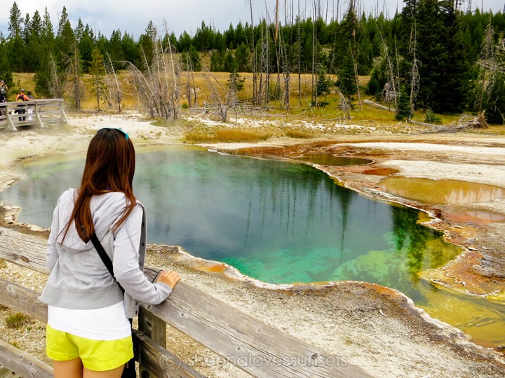 Yellowstone 4 SheenaLovesSunsets.com-min