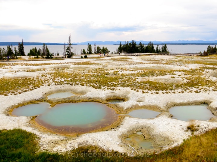 Yellowstone 7 SheenaLovesSunsets.com-min