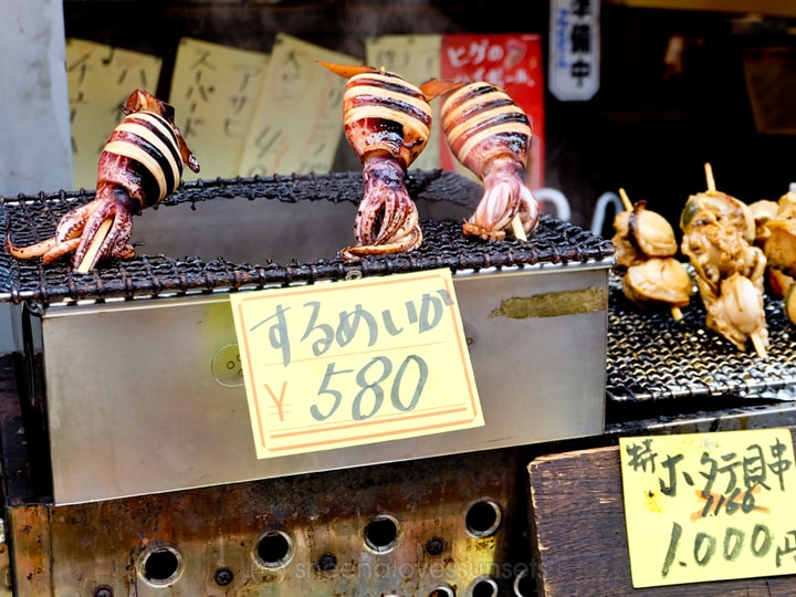 Kuromon Market Osaka Sheena Loves Sunsets 9-min