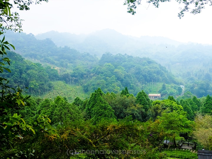 Lavender Cottage Taichung Taiwan