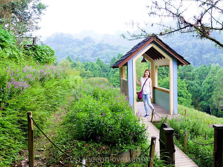 Lavender Cottage Taichung Taiwan