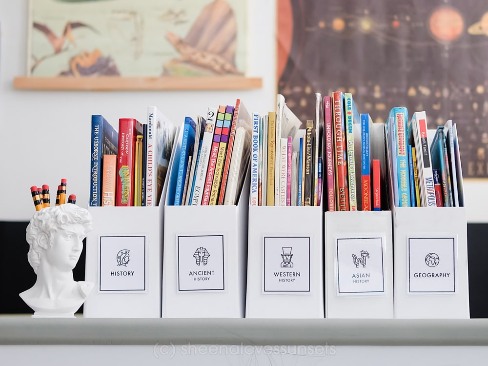 organizing-and-categorizing-all-our-children-s-books